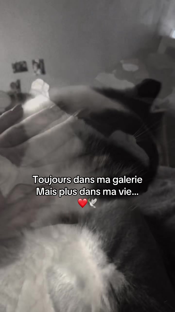 @E🖤