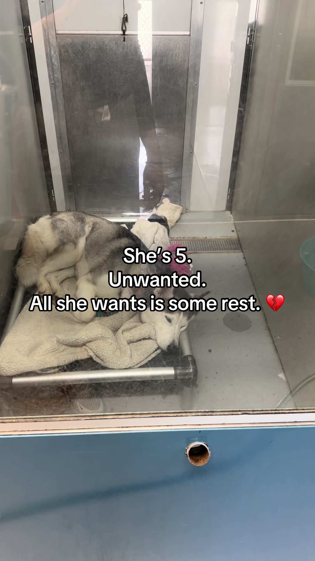 @myTinypurpose