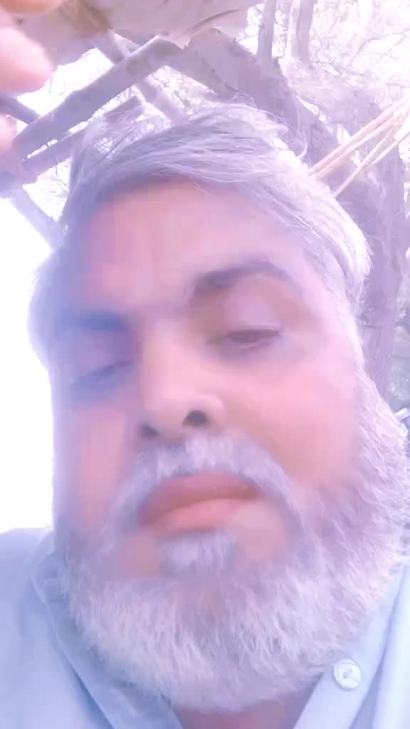 @M Yousaf,kanjin