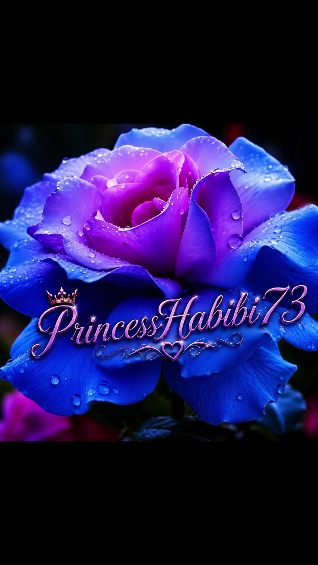@Princess
