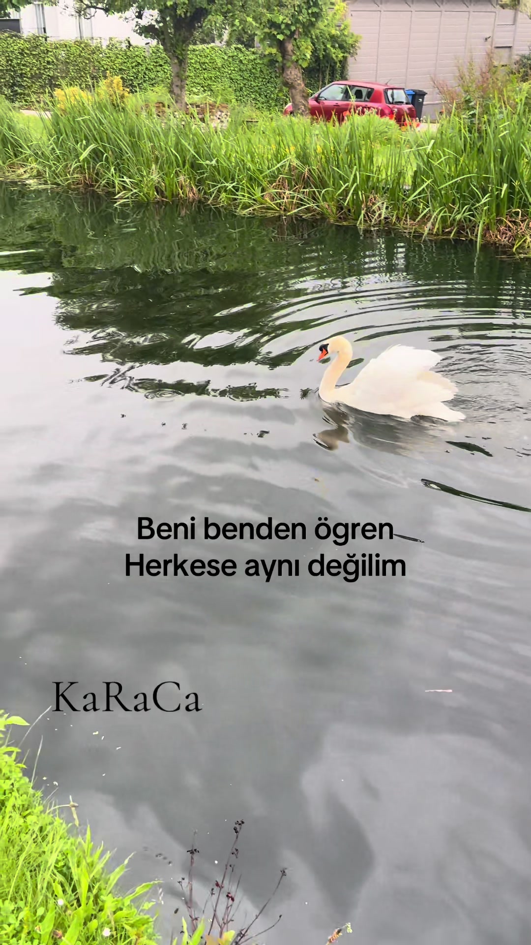 @KaRaCa