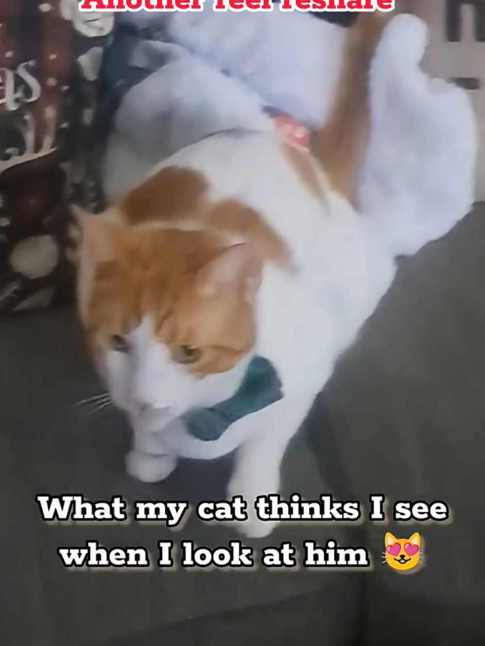 @Candice & Weasley