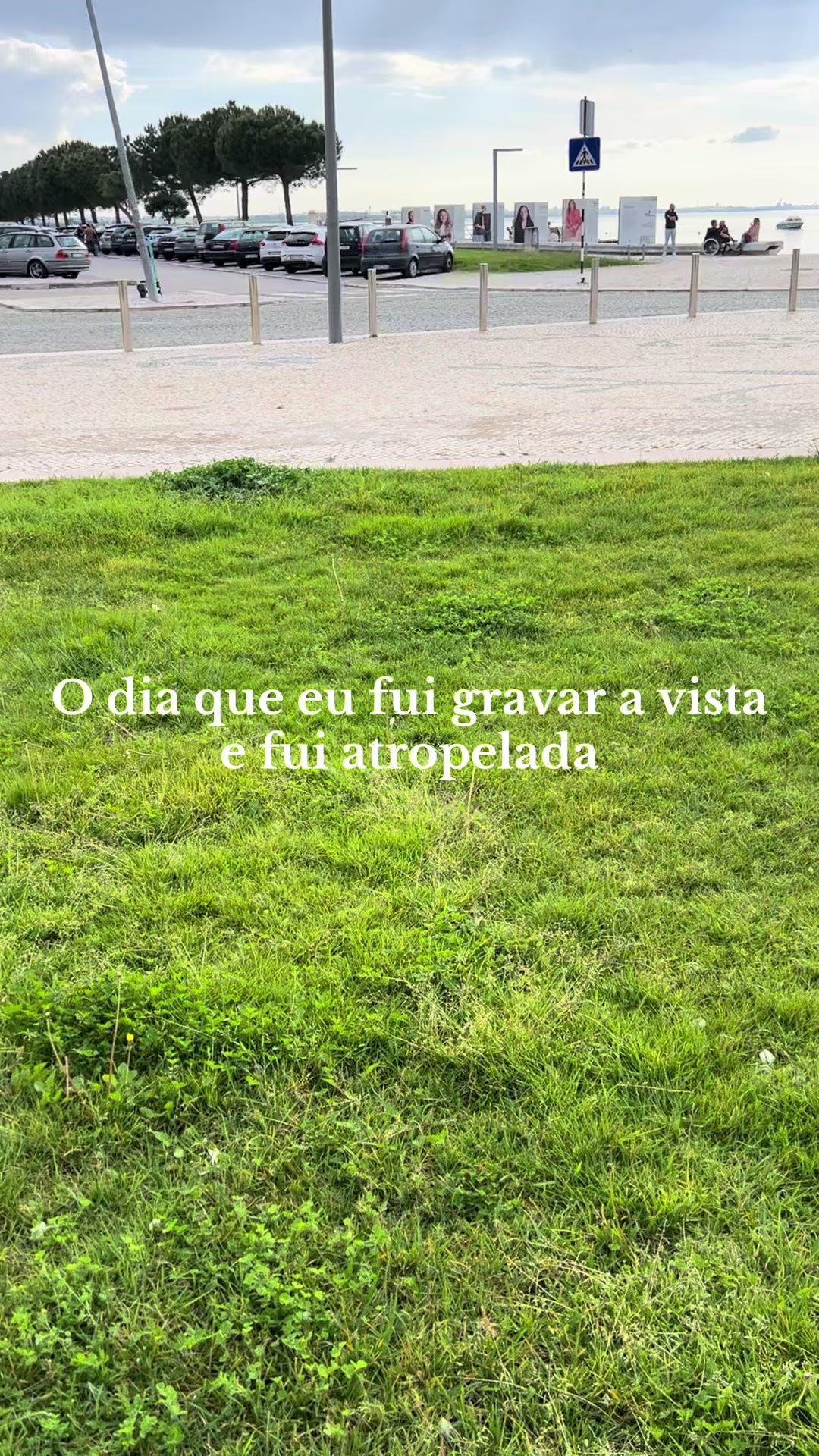 @Gabriela Rosa