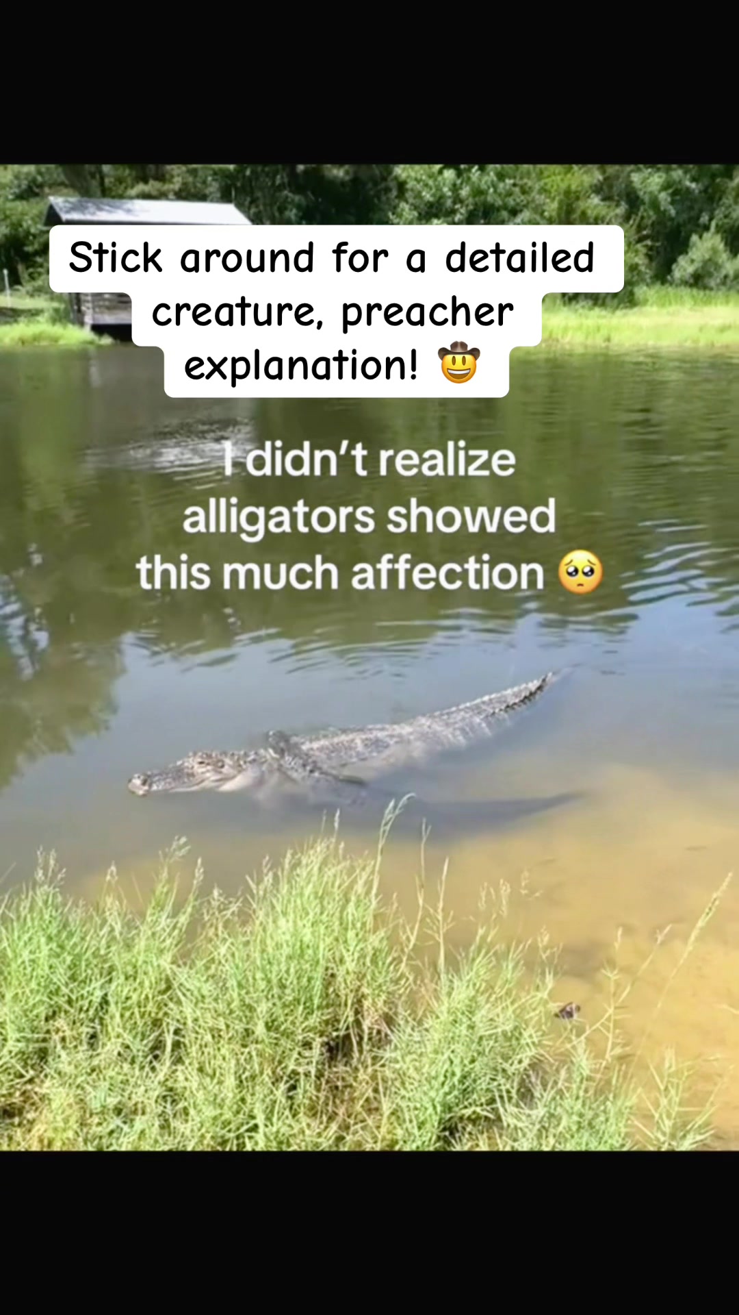 @CreaturePreacher