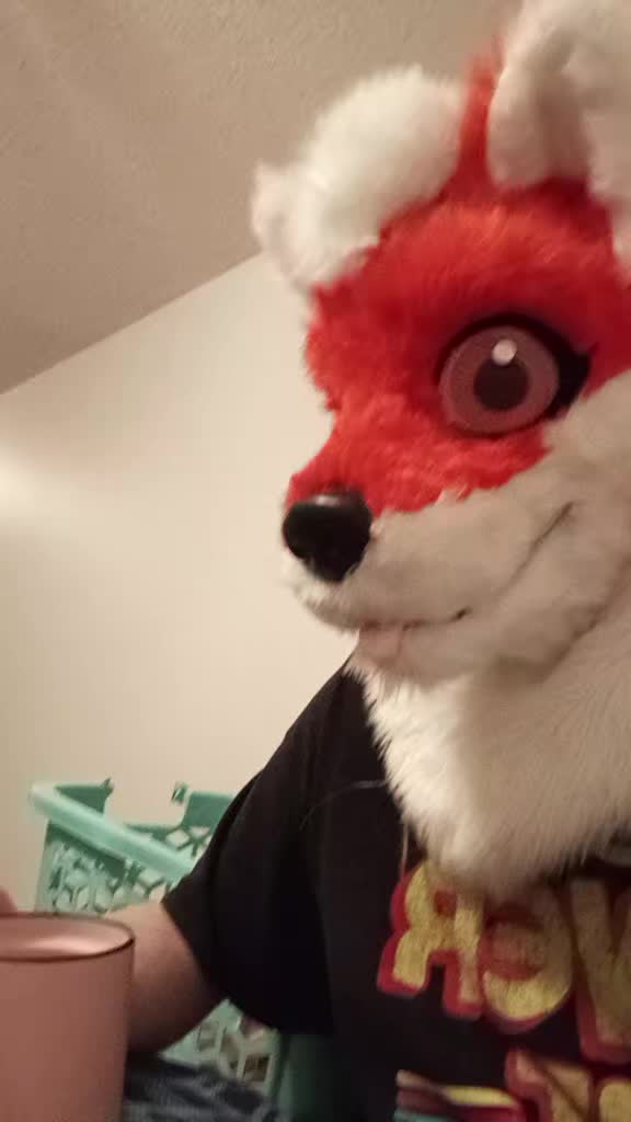@DJravefox