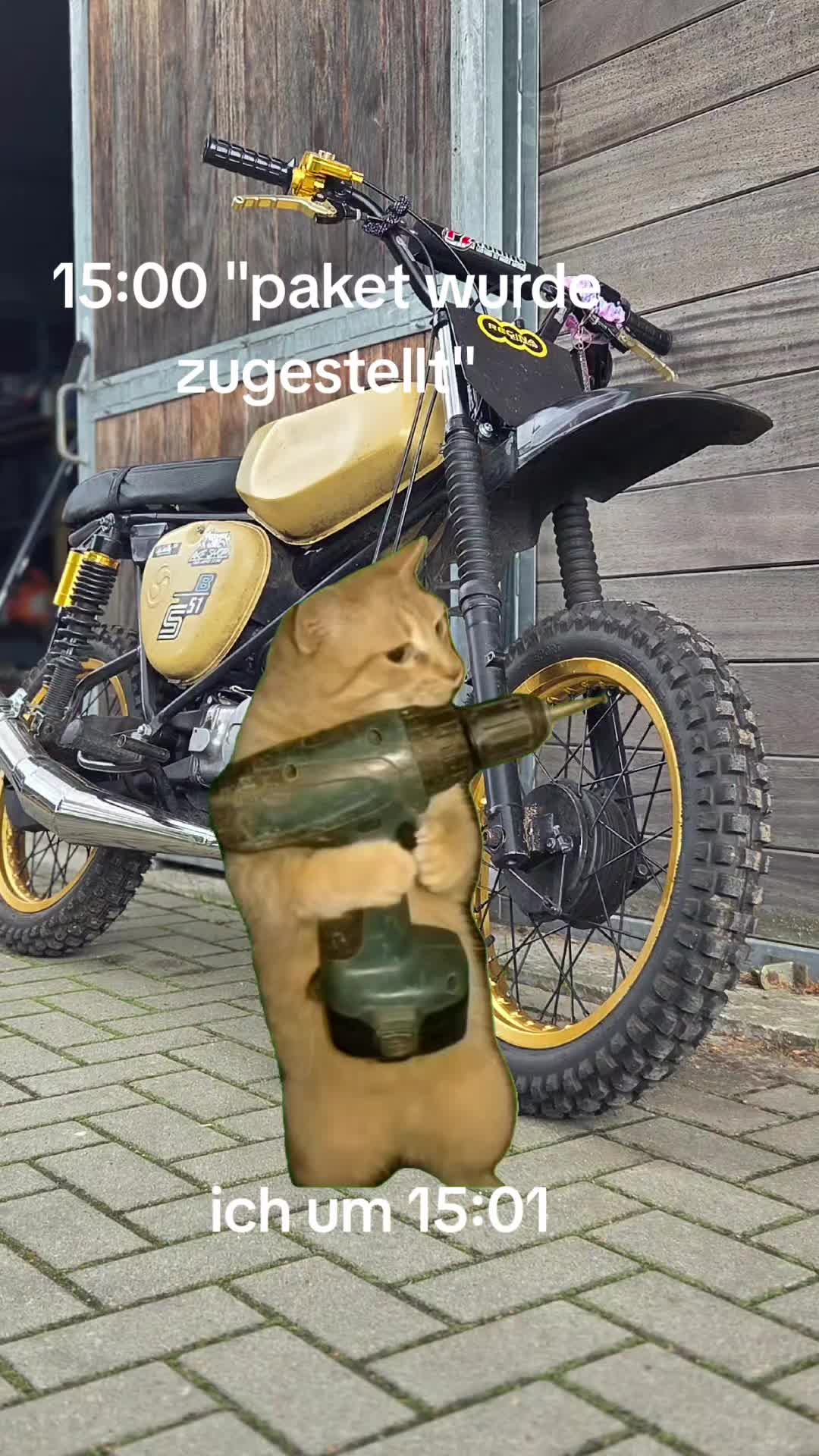 @mopedleon