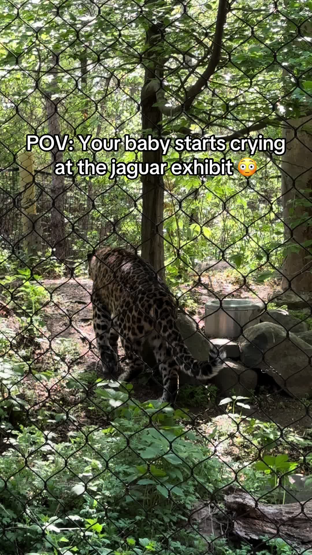 @MildlyOverjoyed