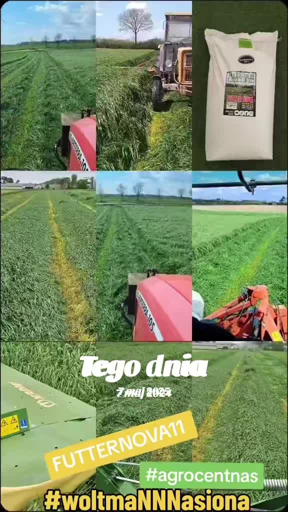 @WOLTMANNNASIONA