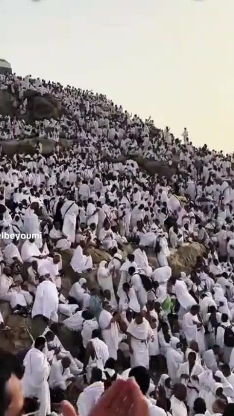 @ايمن ابوالعربى