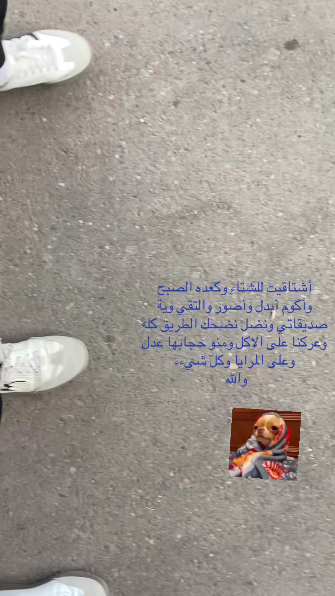 @هـالـة