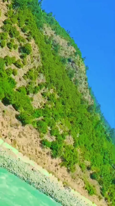 @غنم رنگ Halak