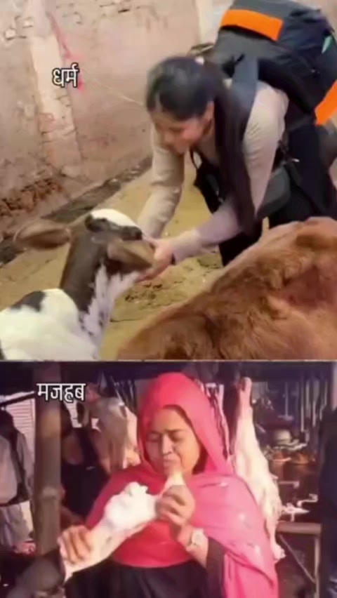 @Sanatana dharma