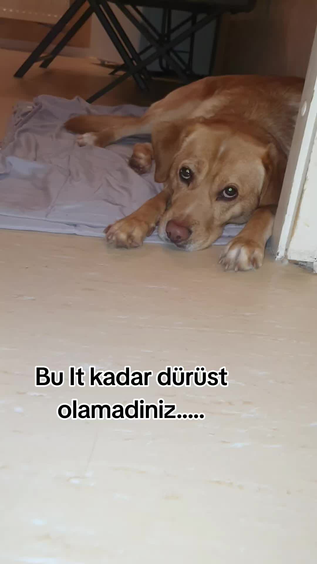 @Susan