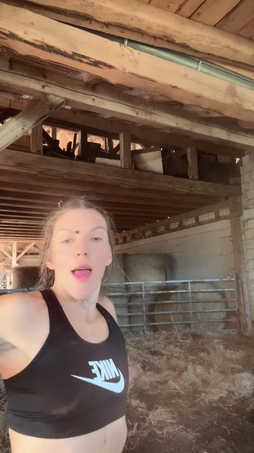 @HafiHorse2