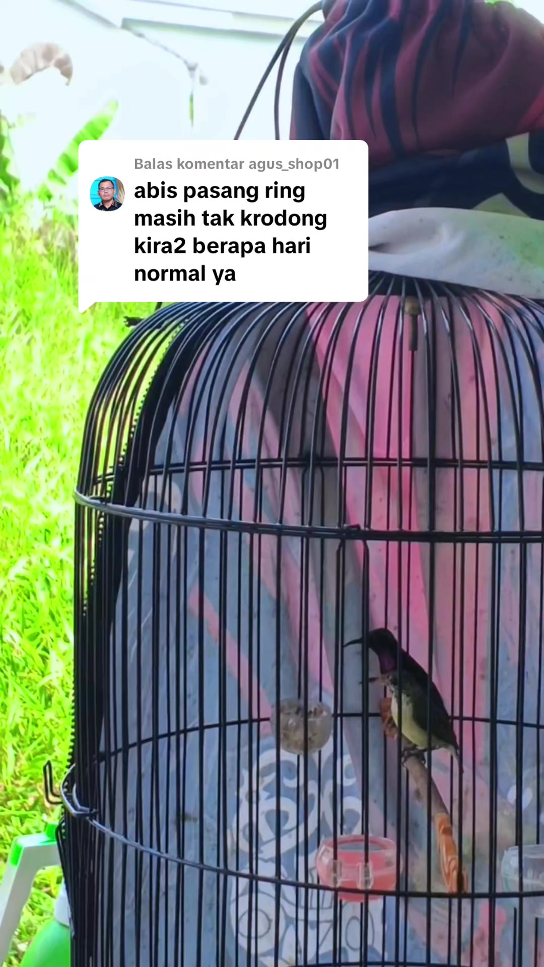 @banjarrayasquad