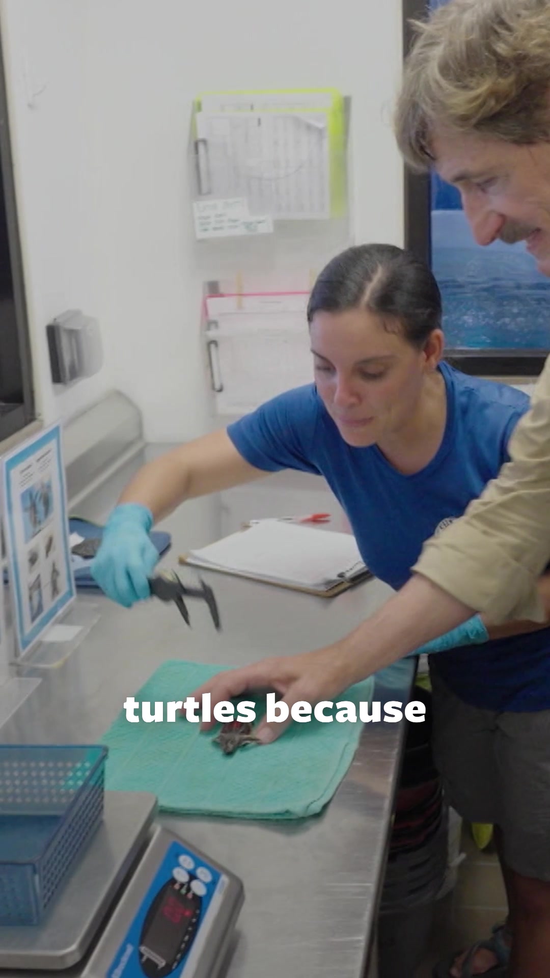 @Mutual of Omaha's Wild Kingdom