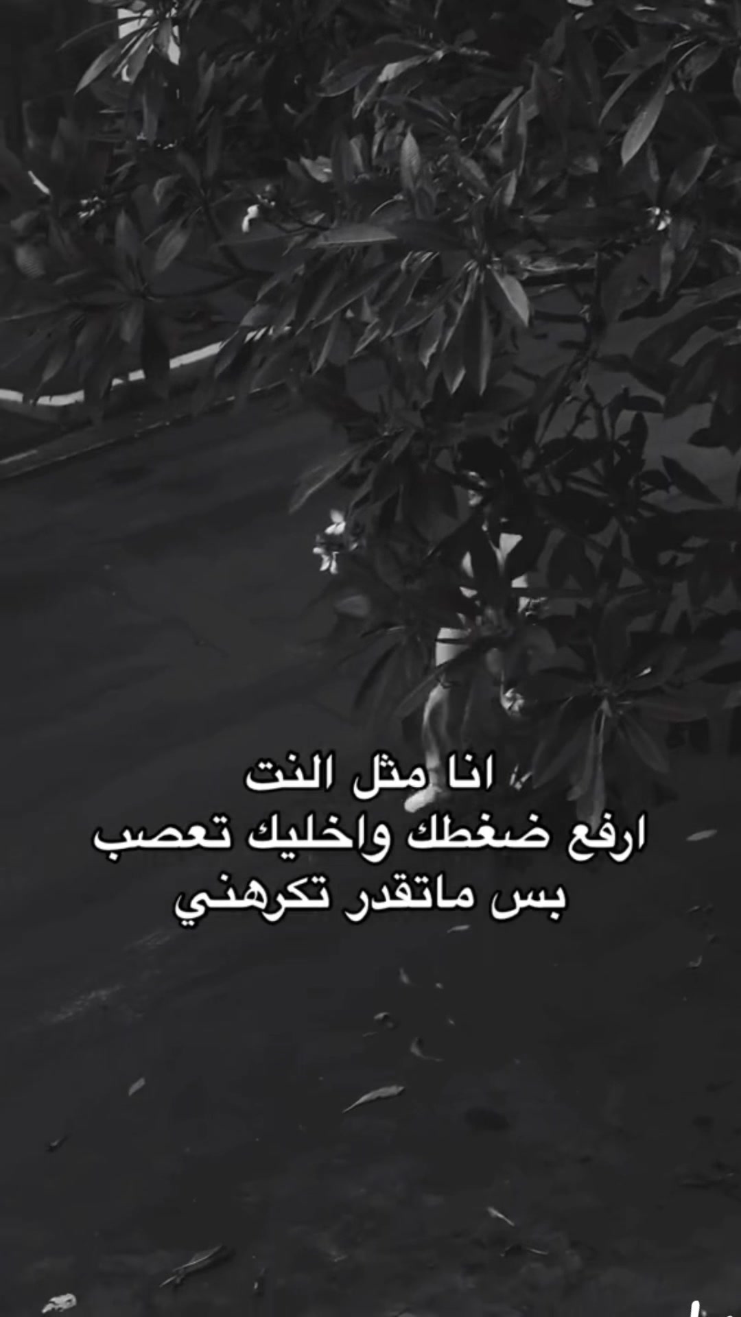 @المشاغبة🤪