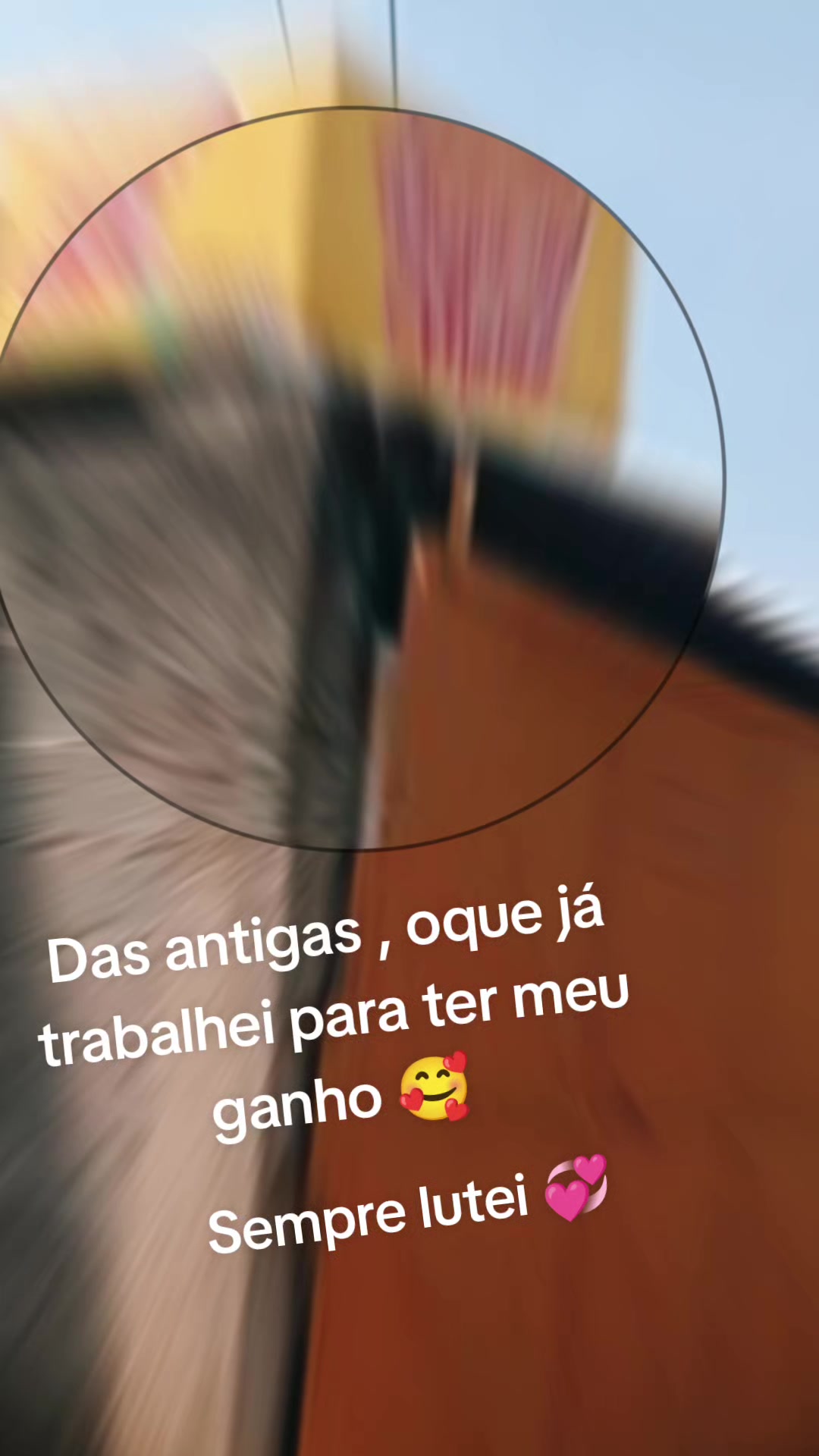 @Michele Calixto
