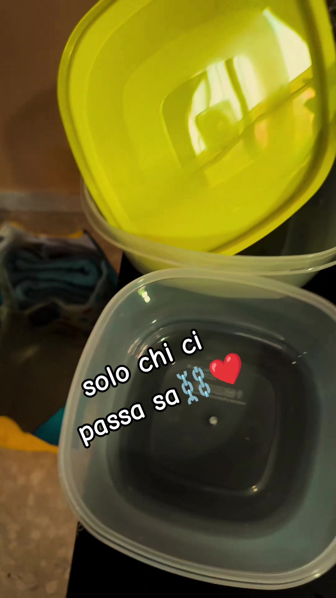 @🏳️&zwj;🌈Ⱨ₳ⱤⱠɆɎQɄł₦₦🏳️&zwj;🌈