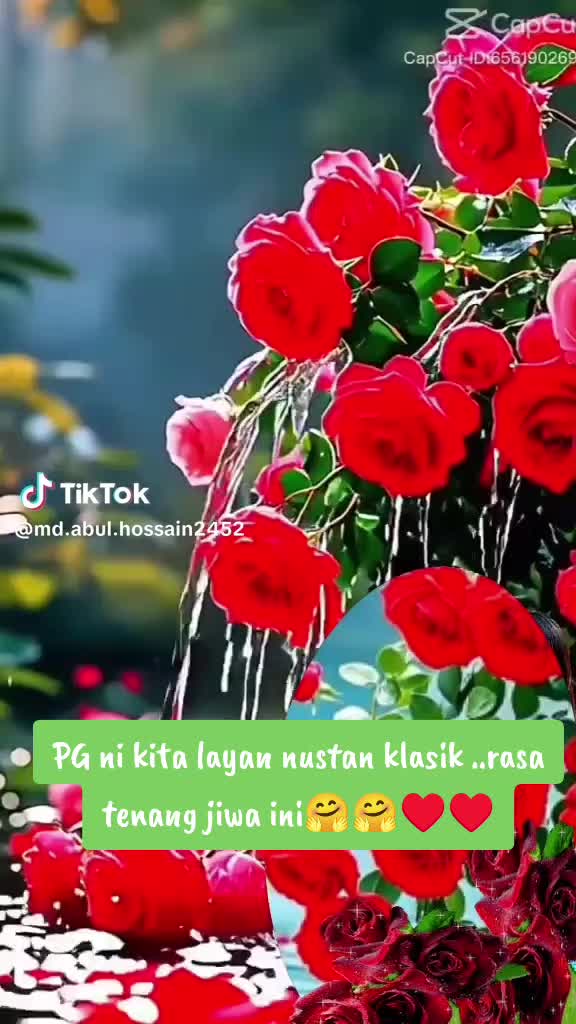 @🇲🇾💖K@kF@Ried@💖🇲🇾