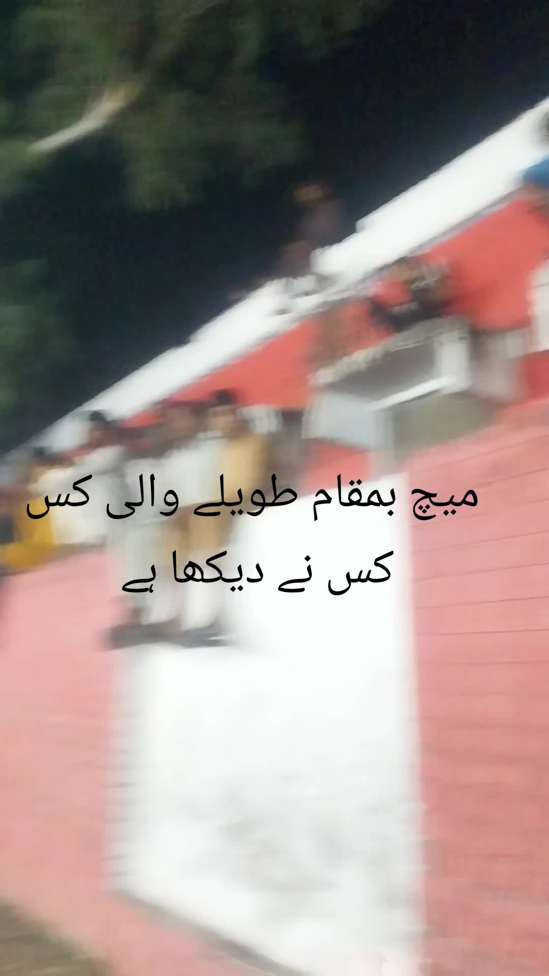 @قاسم علی