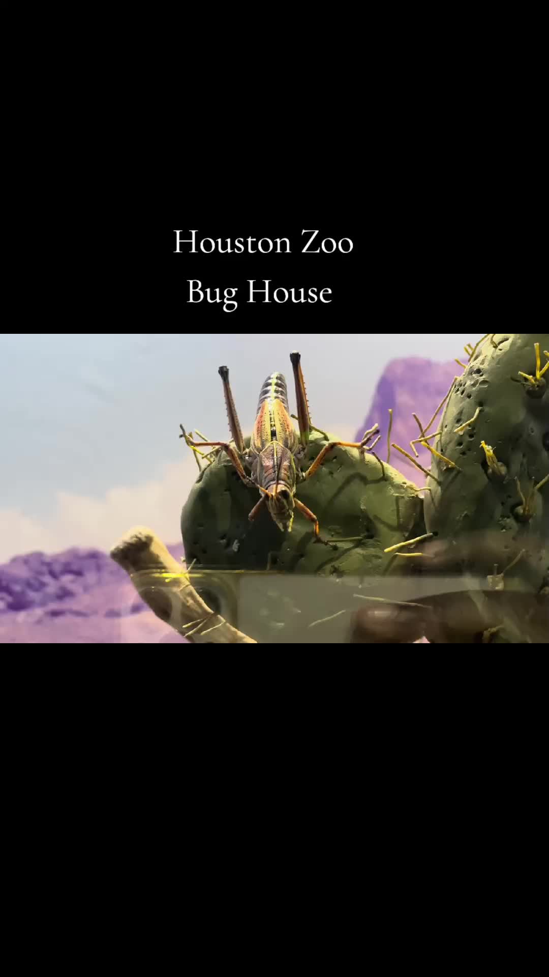 @Hubertcampbelltravels
