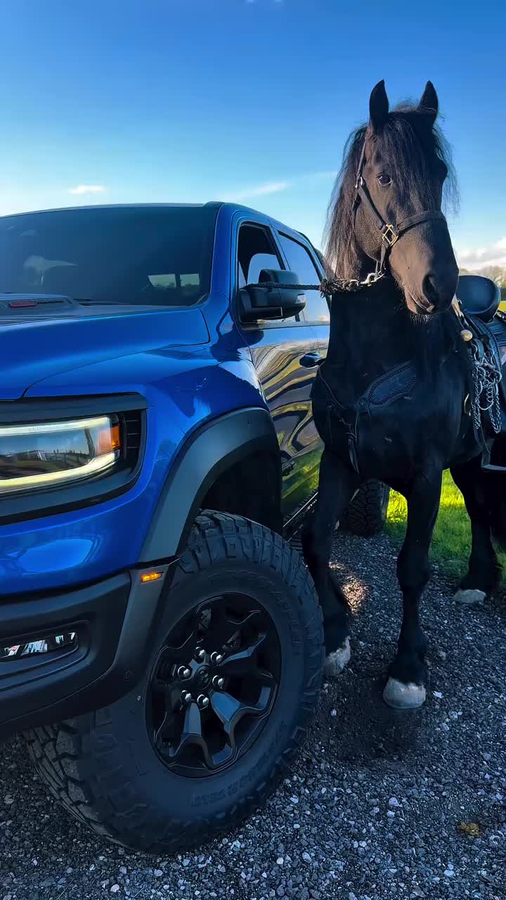 @ThunderGallops