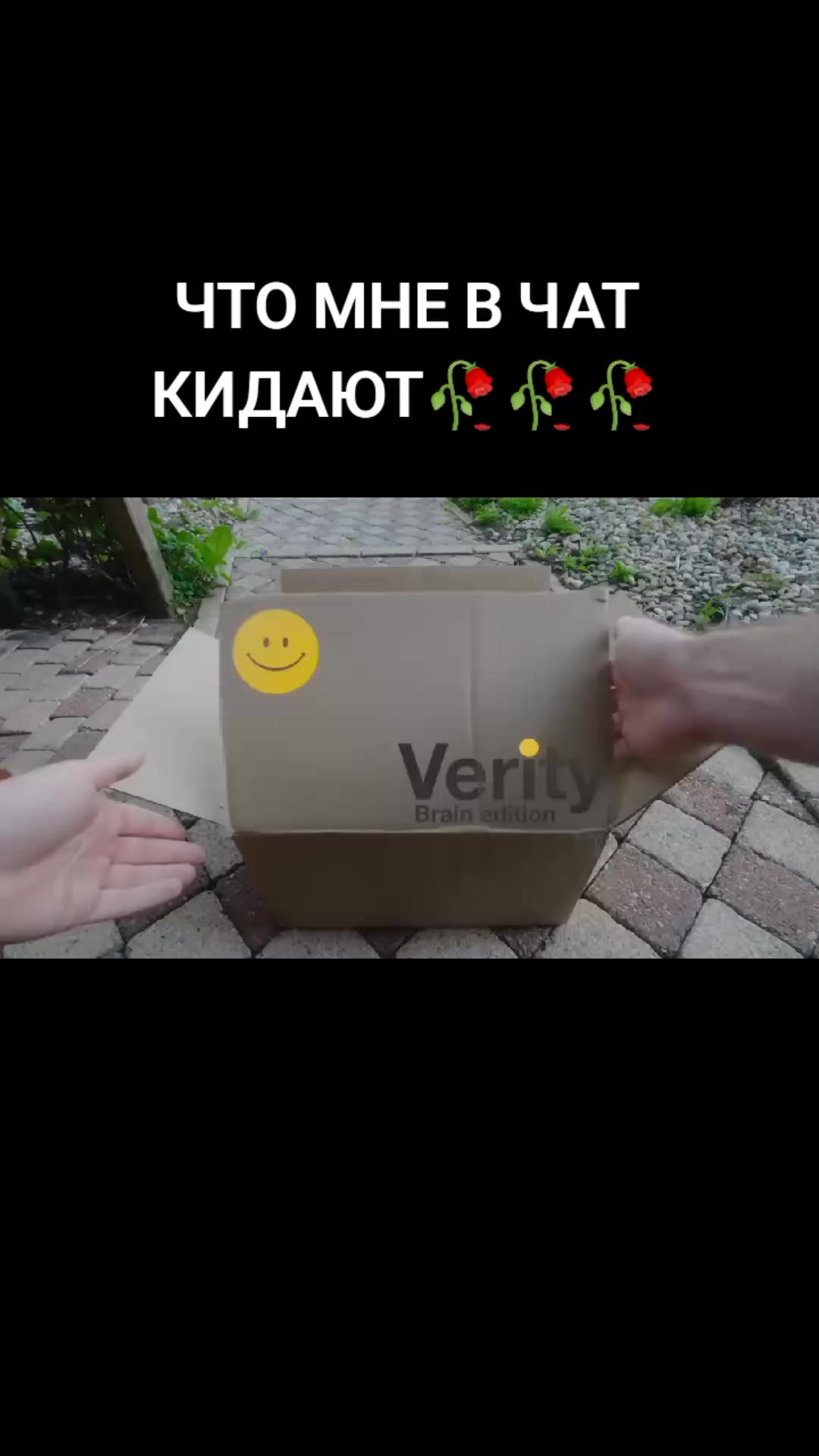 @помпонатор 217