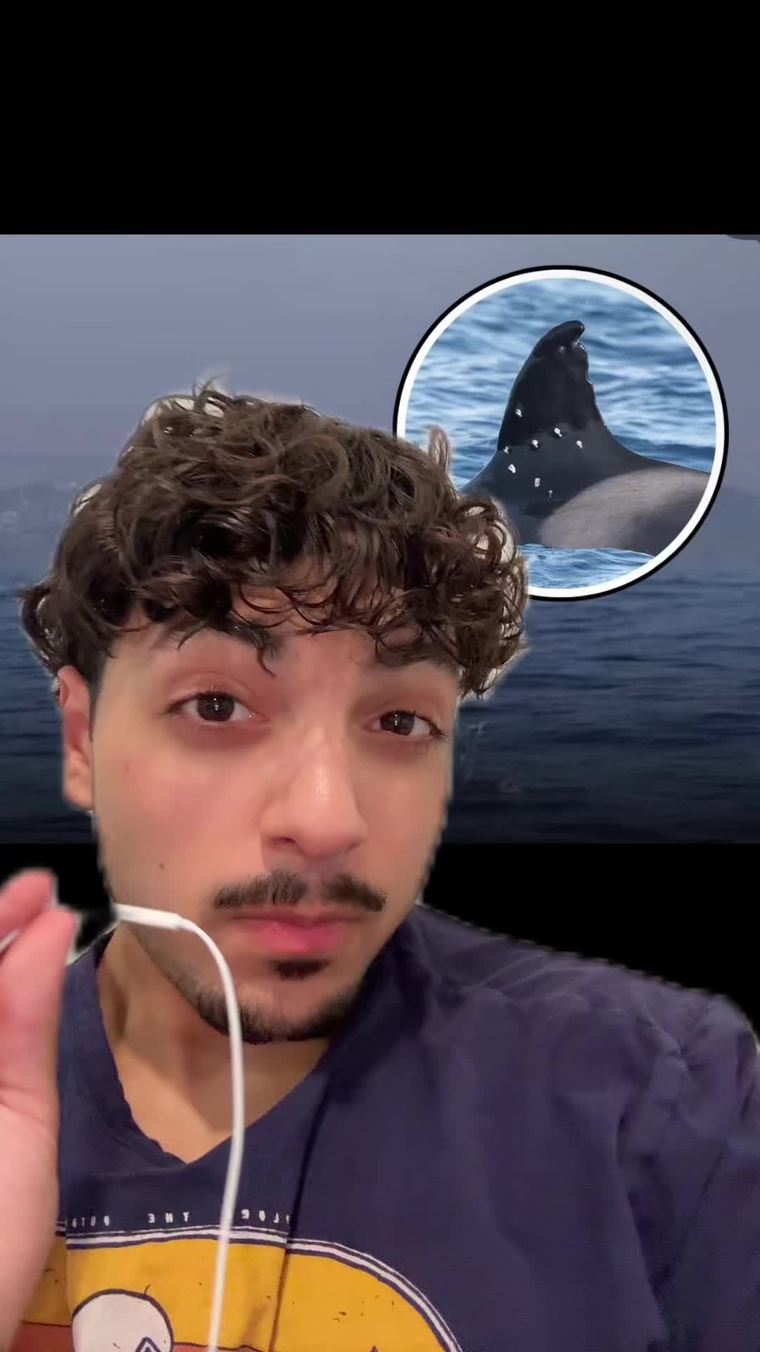 @Sbladn