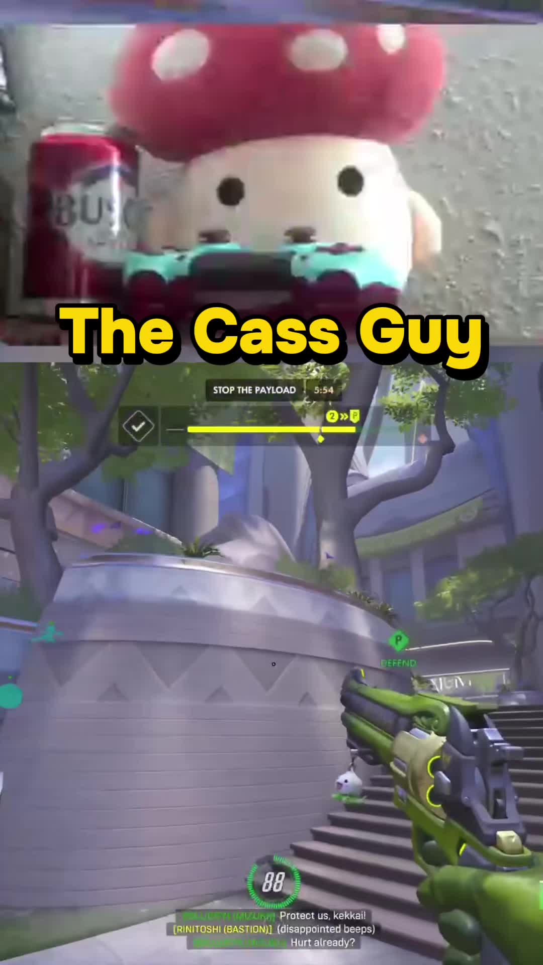 @drmushroom4