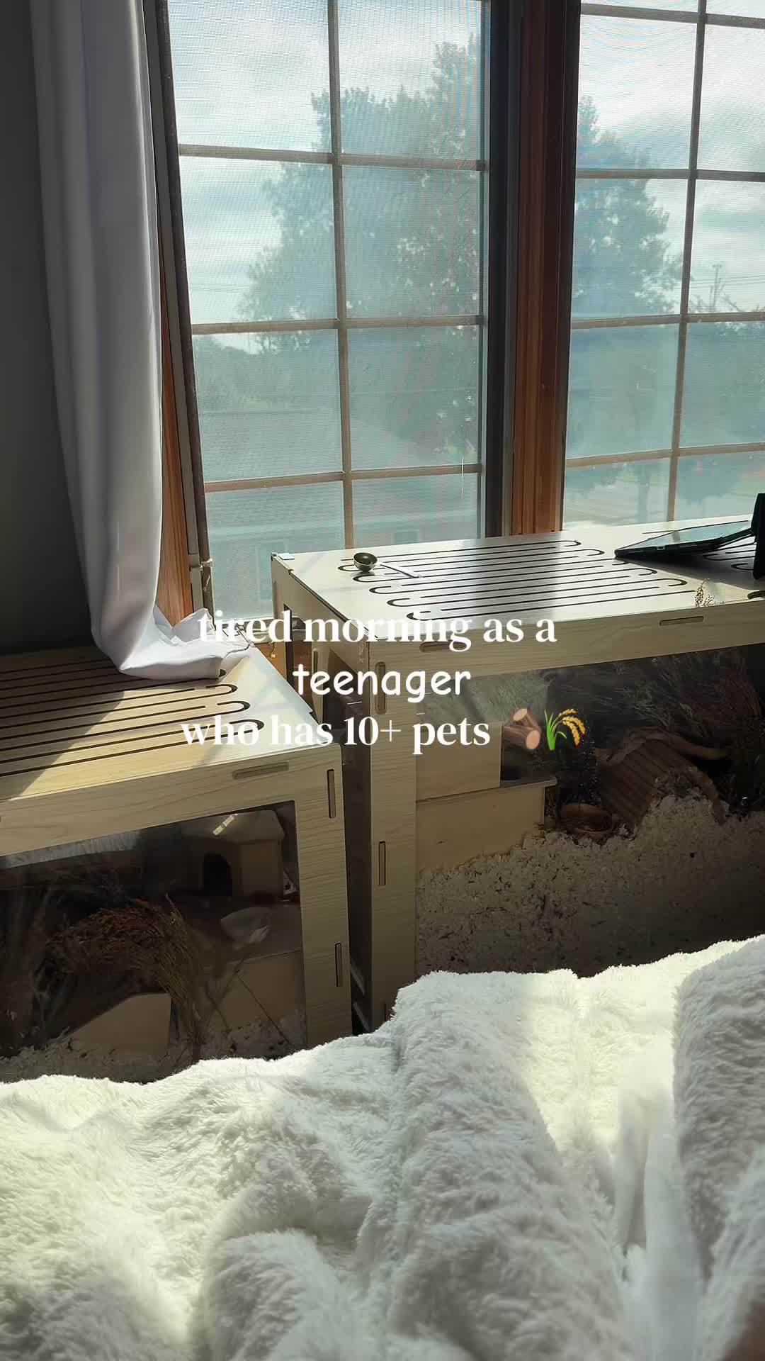 @alexa🤍🐾