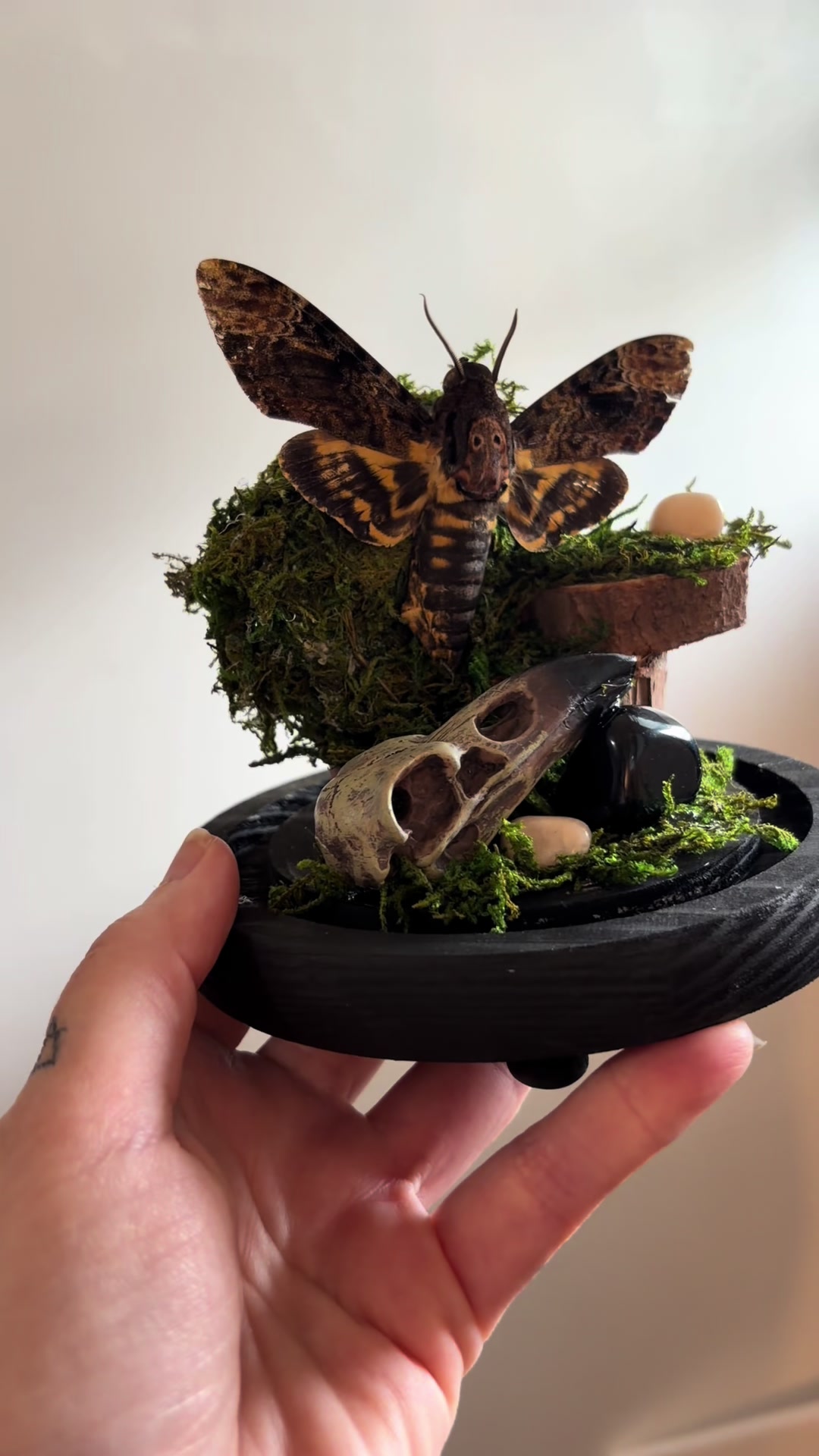 @Foxglove Bonecrafts