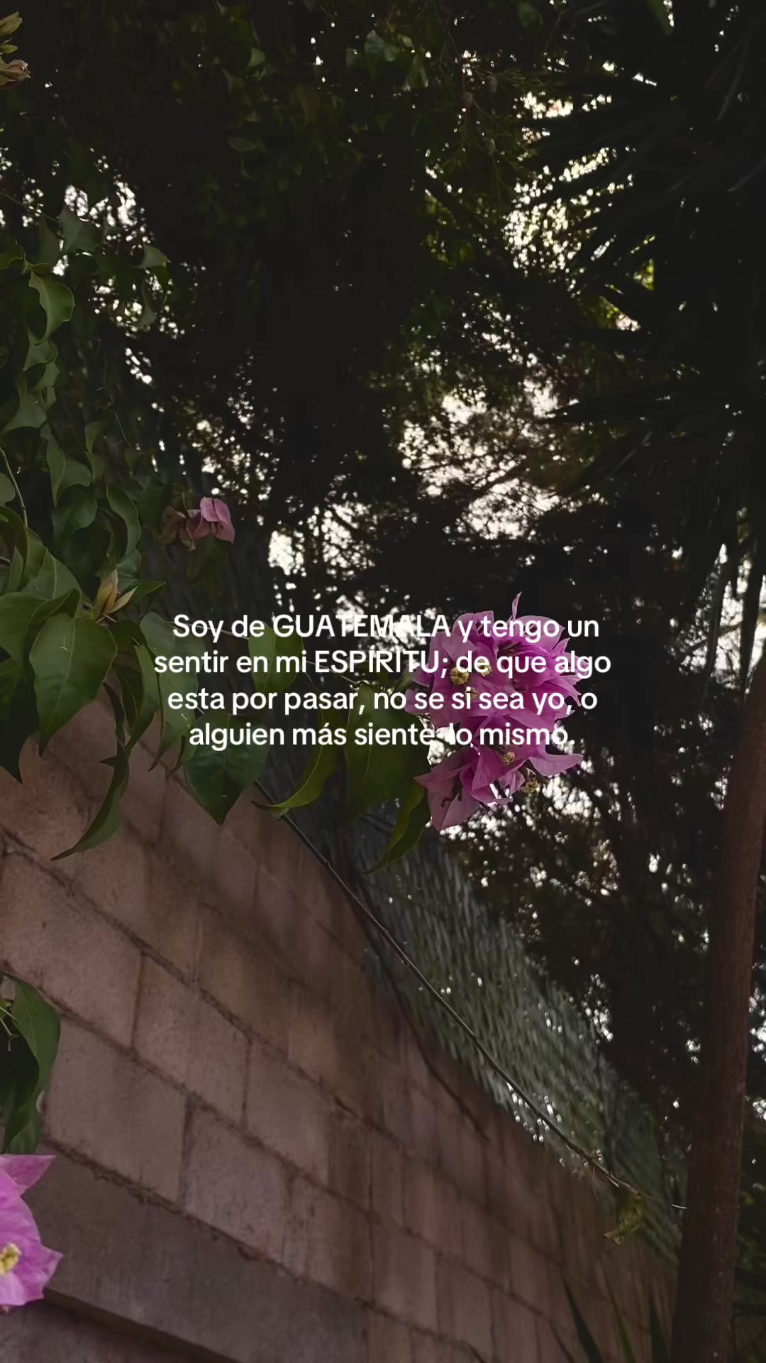 @Samii