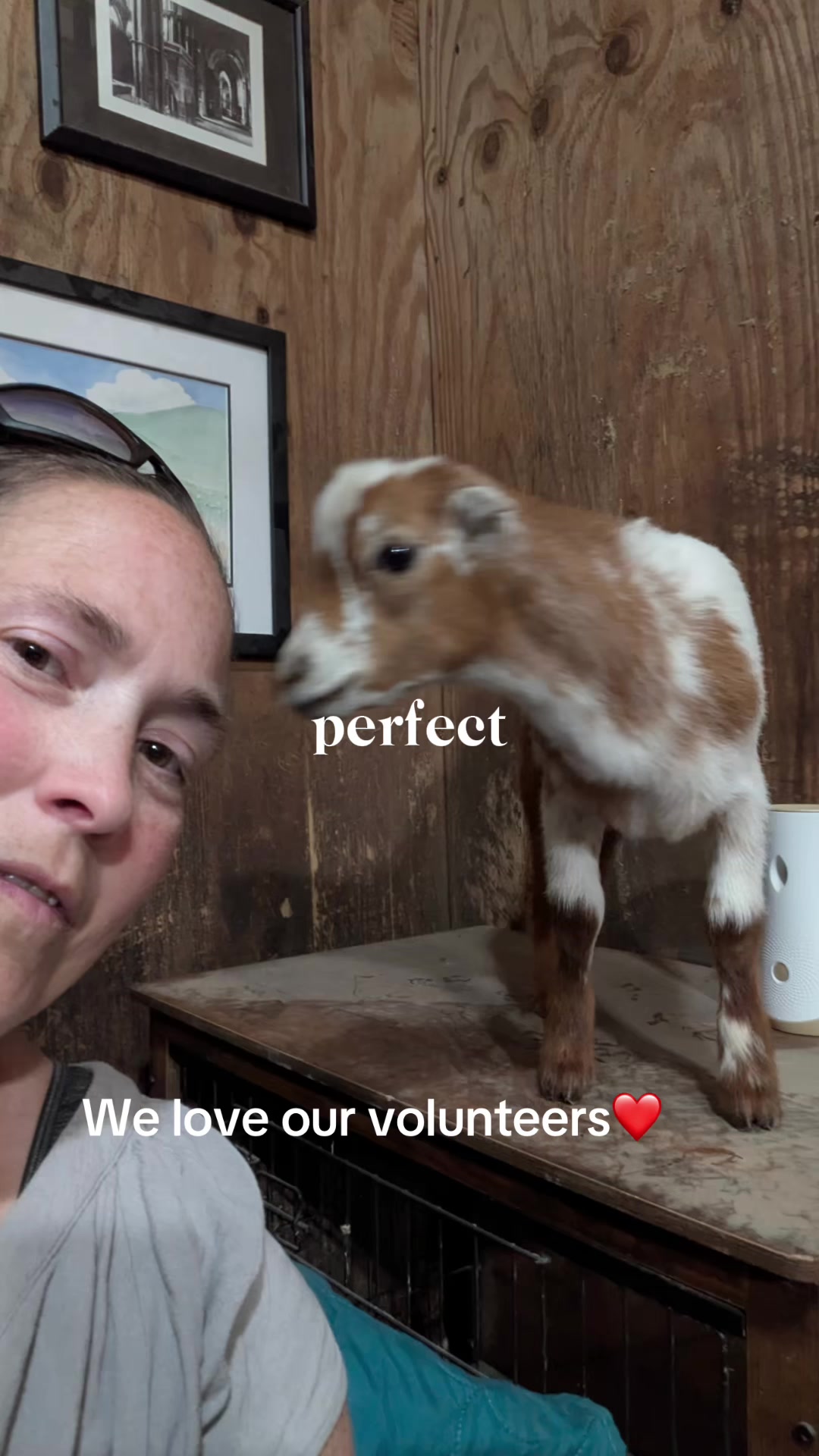 @HiddenDoorFarm