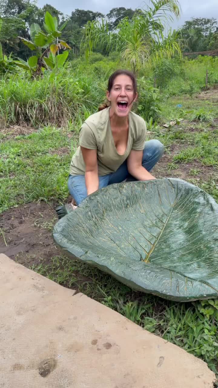@Jungle Outdoor Sabine Nichols