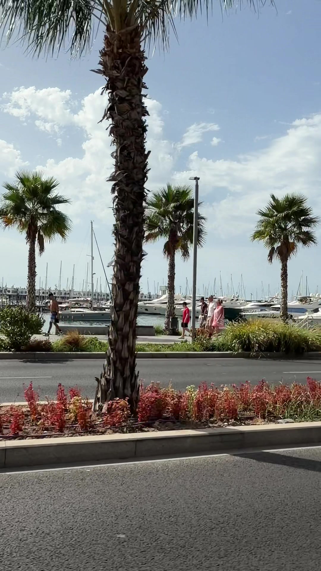 @Alicante City