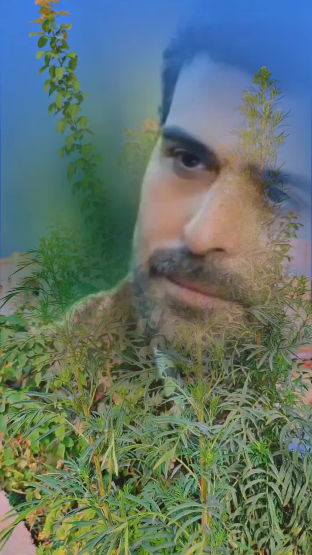 @عبير الورد🍃❤️