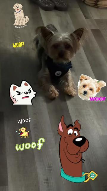 @Sandy๐ง๐ฆ๐บ๐ธ