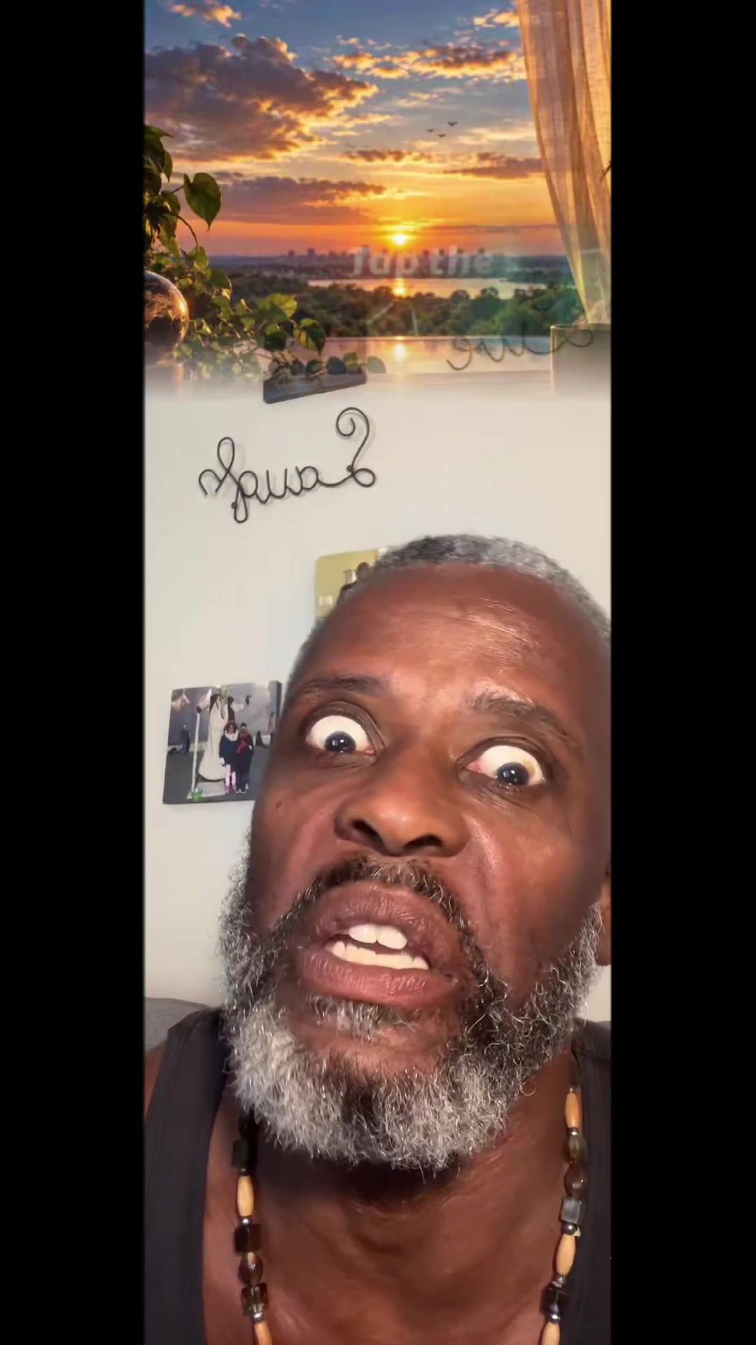 @The Vibeologist