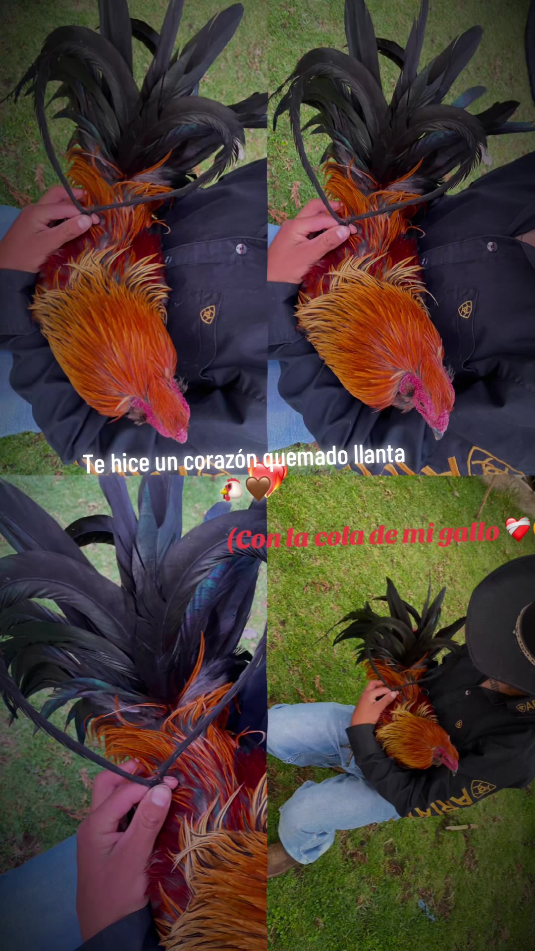 @CARLITOS@162008
