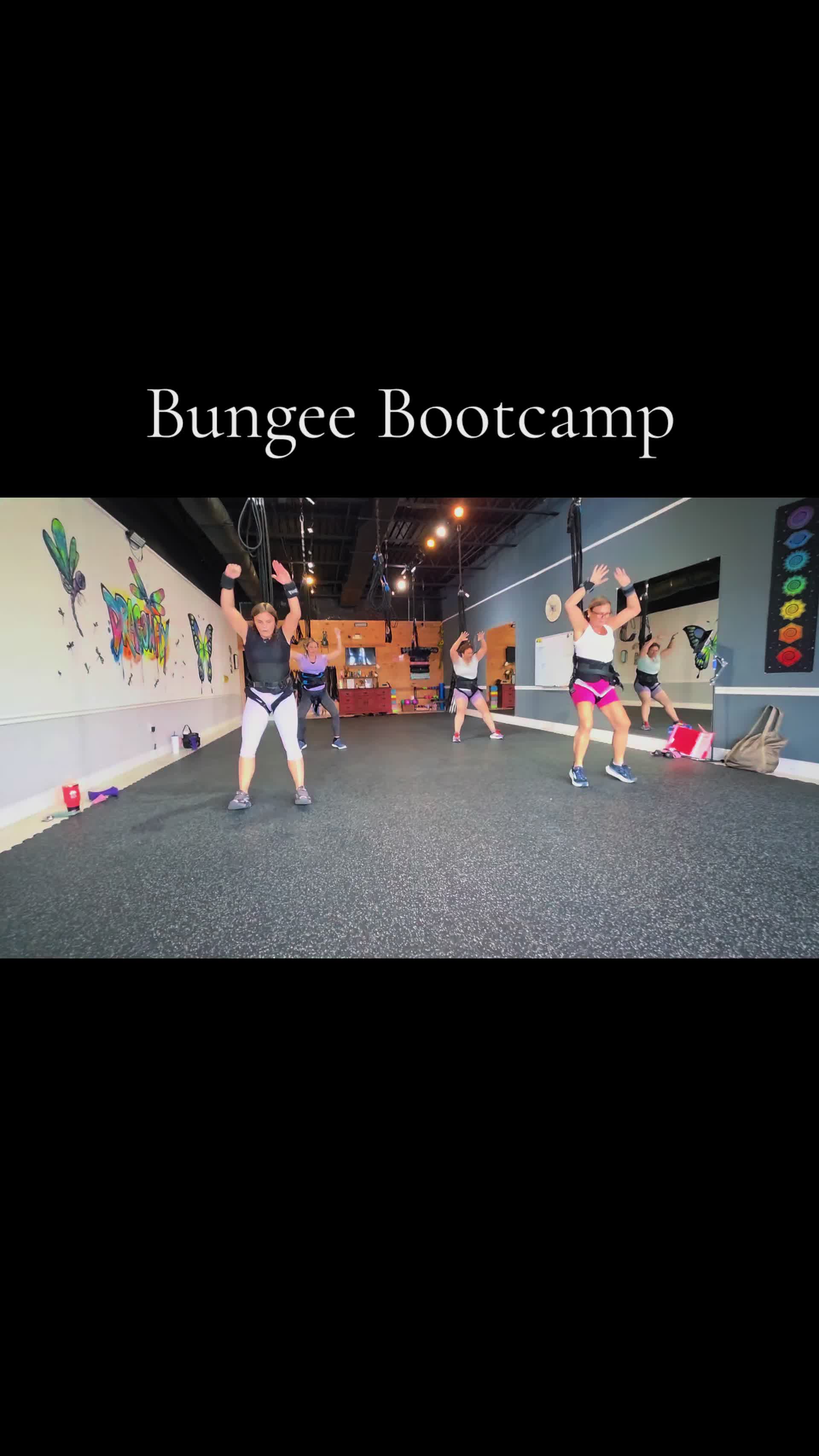 @Dragonfly Bungee