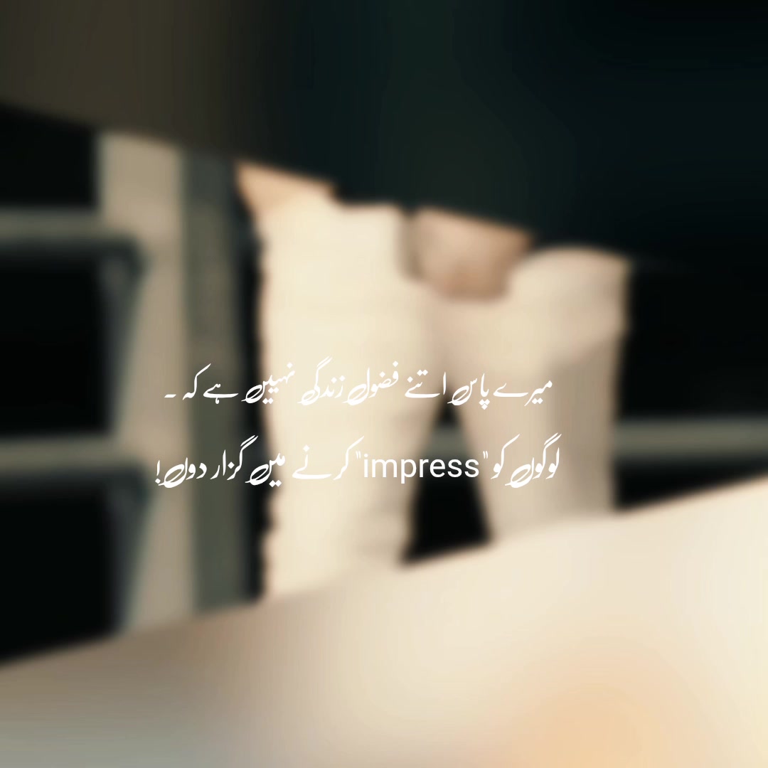 @𝑰𝒕'𝒔 𝑴𝒆𝒆𝒓  ╾━╤デ╦︻