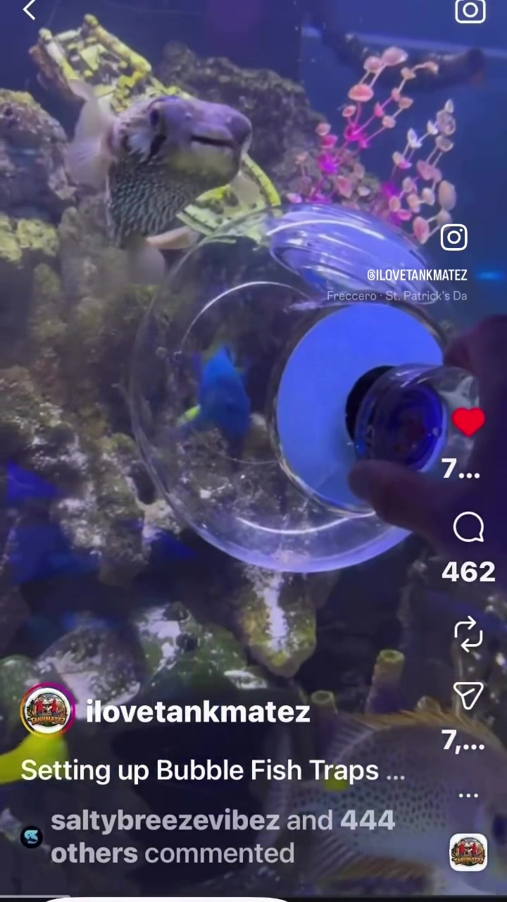 @Tankmatez.com USA
