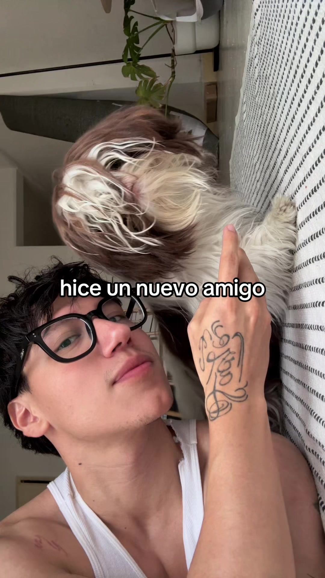 @tu regaytonero โ