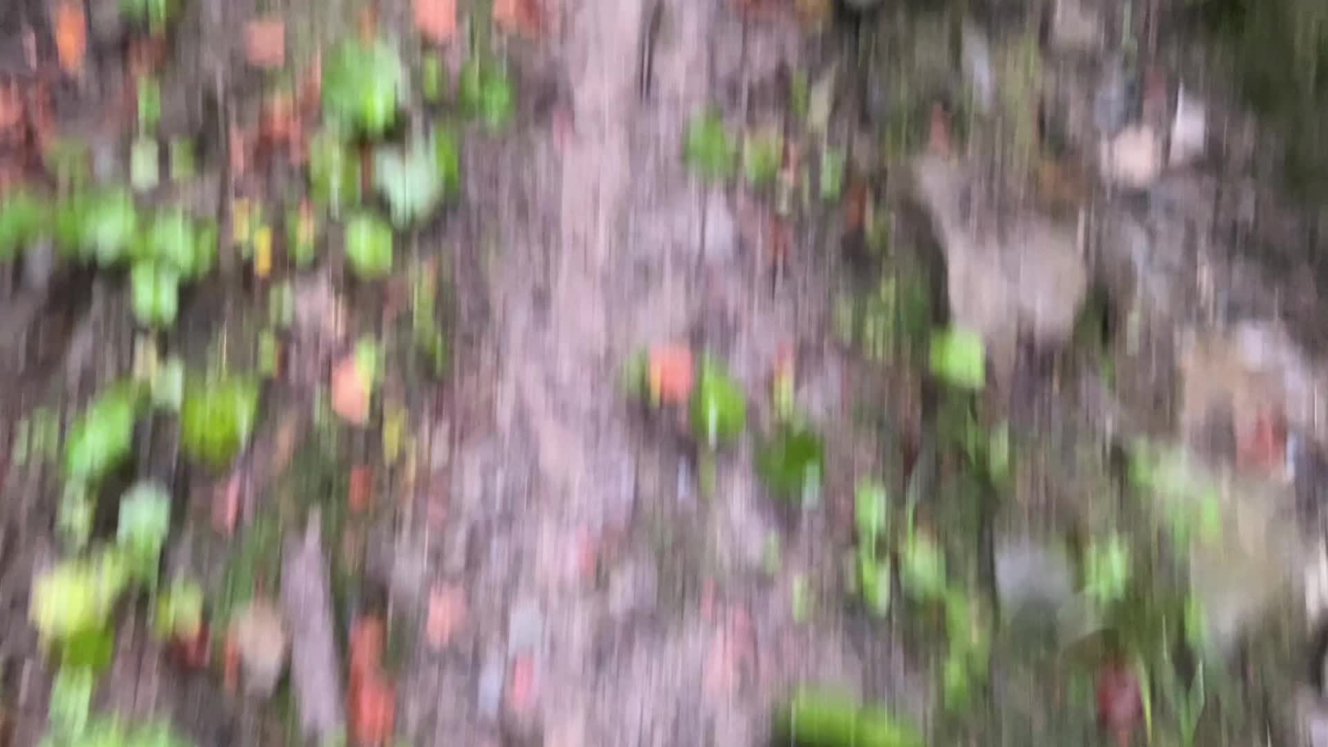 @🌲1𝔰𝔥𝔢𝔱𝔰1🌲