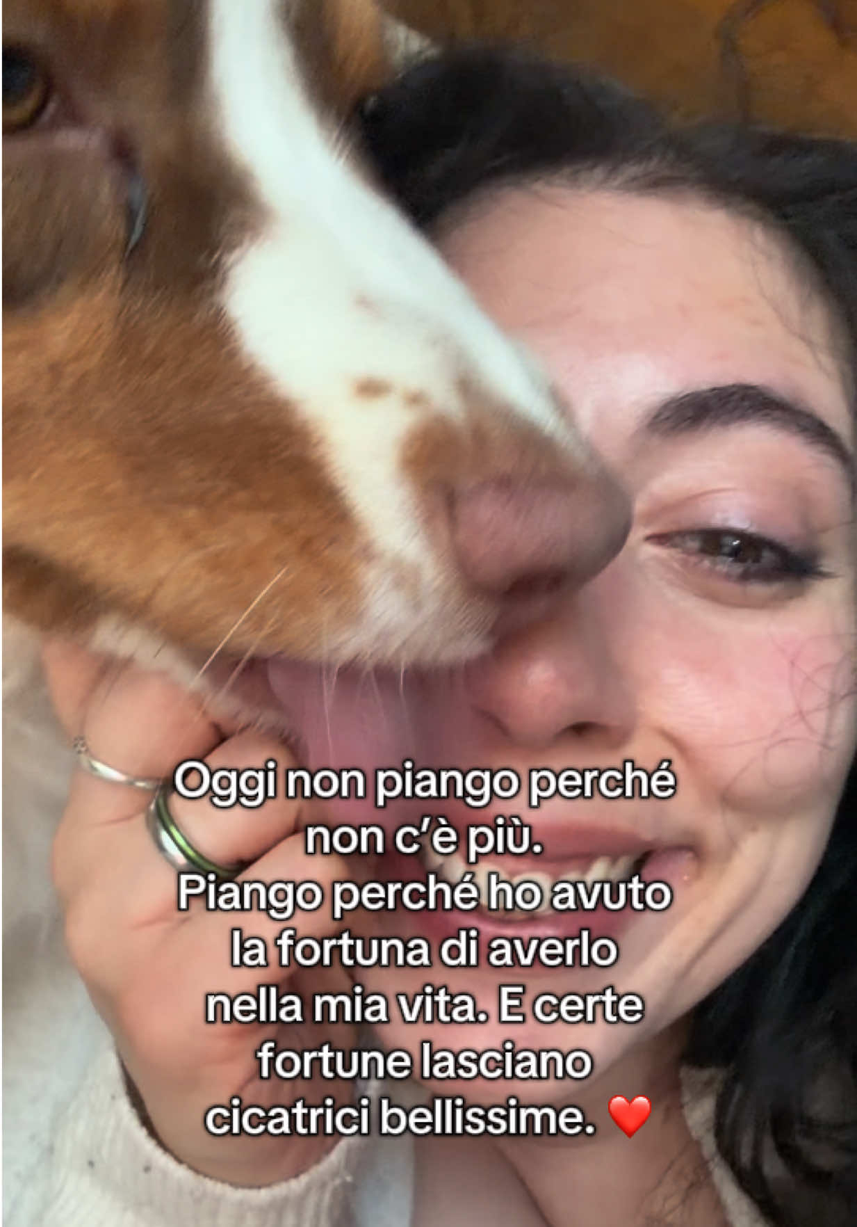 @Noeandfur 🐶🐾