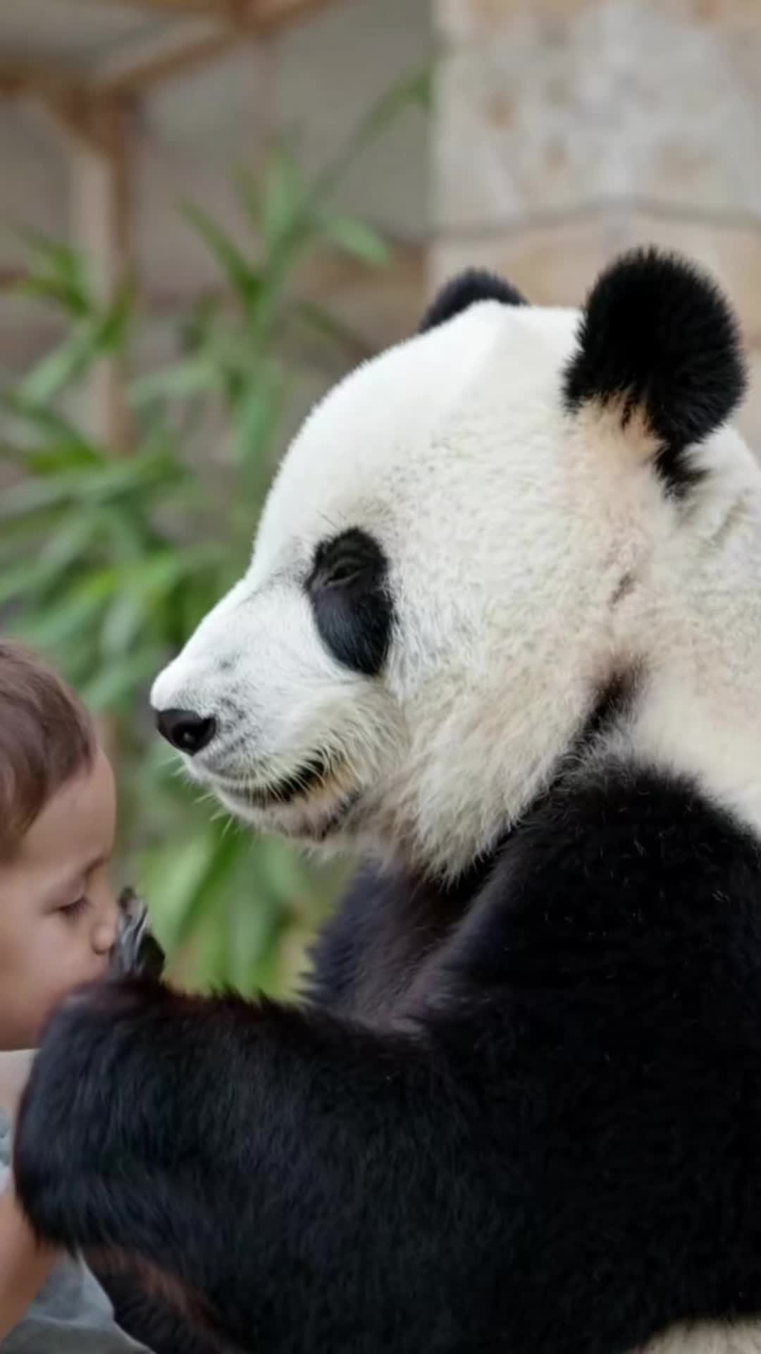 @lovepandas05
