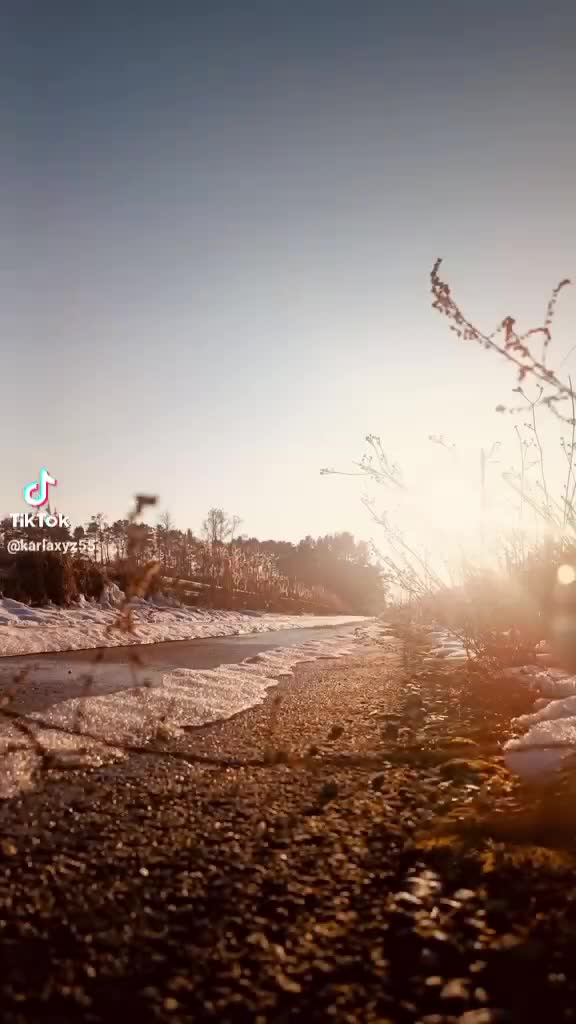 @sylwiaosinska873