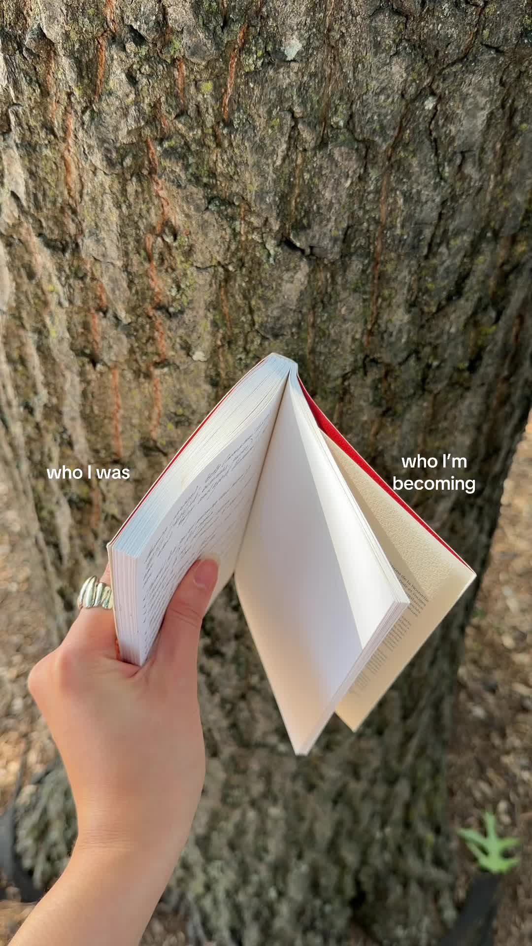 @dana