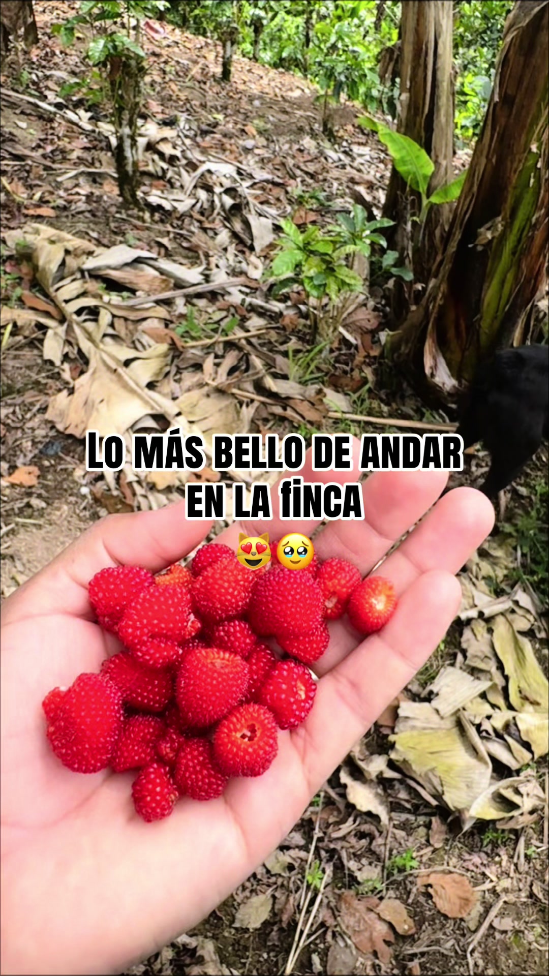 @Iris R 🎀